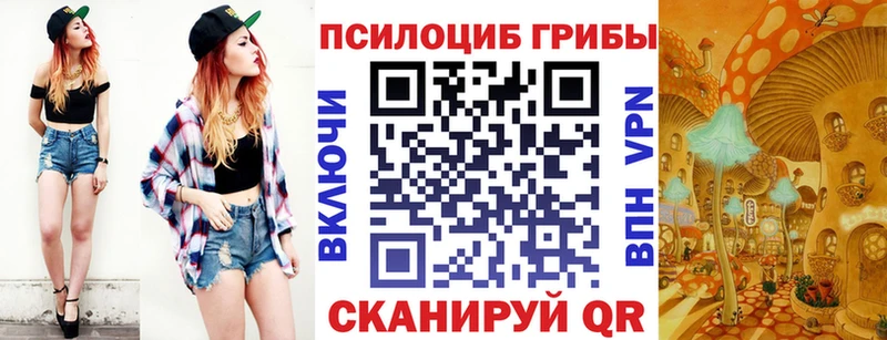 закладки Эртиль Галлюциногенные грибы GOLDEN TEACHER